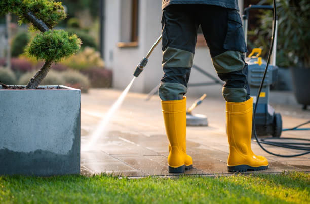 Best House Pressure Washing  in Wolfforth, TX